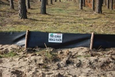 Fot 58 Przykład wygrodzenia placu budowy autostrady A2 przed migrującymi płazami Rys.