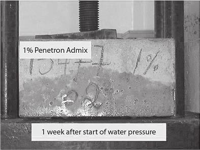 2.2. Domieszka Penetron ADMIX 51 masy cementu). Test przeprowadzono zgodnie ze standardem obowiązującym w Brazylii NBR 10.787/94. Przygotowane próbki betonu pielęgnowano w wodzie przez 28 dni.