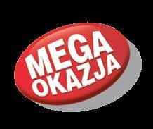 ogrodzeniowy 3D ocynkowany malowany
