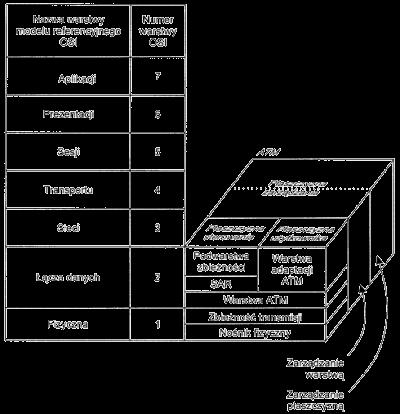 Architektura protokołu ATM Problem z przyporządkowaniem miejsca w modelu ISO-OSI Oddzielny model budowy warstwowej, wzorowany na idei modelu ISO-OSI Warstwa fizyczna Określa funkcje związane z