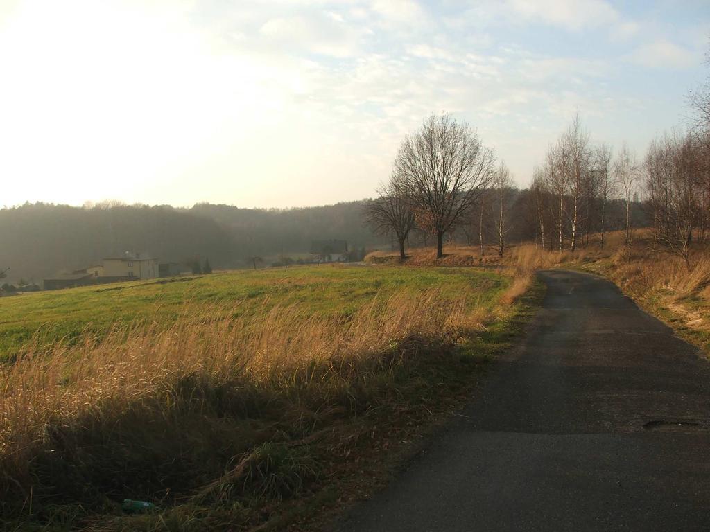 Geologic 44-203 Rybnik, Przemysłowa 3/122 tel/fax: 32 7286732, 502773557, email: geologic1@wp.