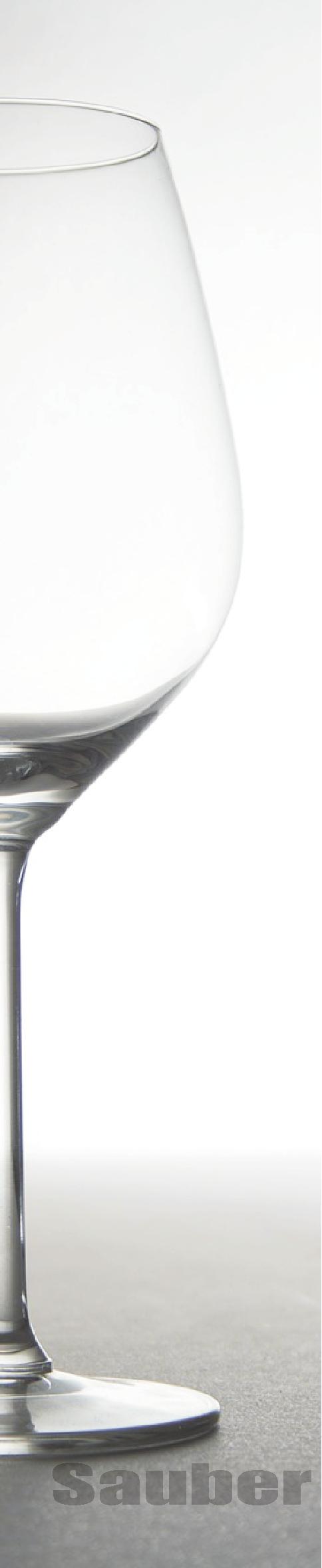 NAB YSZCZANIE NACZYÑ 08 Profesjonalny preparat do p³ukania i nab³yszczania naczyñ mytych w zmywarkach gastronomicznych Sposób u ycia: Nale y stosowaæ siê