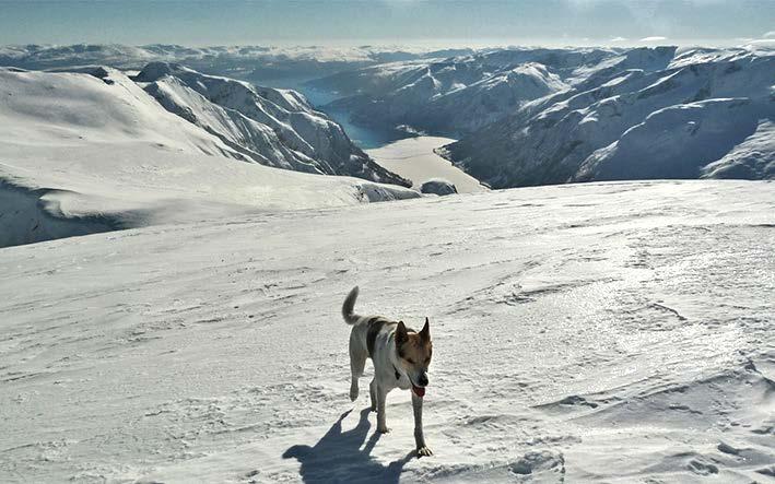 O REGIONIE SOGN OG FJORDANE Sogn og Fjordane to zjawiskowej urody region położony w zachodniej części Norwegii.