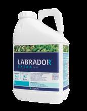 NOWOŚĆ LABRADOR EXTRA 50 EC LABRADOR EXTRA 50 EC jest środkiem chwastobójczym w postaci koncentratu do sporządzania emulsji wodnej, stosowanym nalistnie, przeznaczonym do selektywnego zwalczania