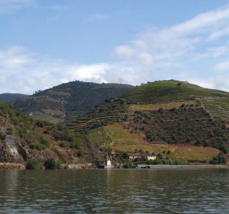 Rafting na Minho Każdemu miłośnikowi vinho verde, zwłaszcza tego robionego z odmiany alvarinho, rzeka Minho stanowiąca naturalną granicę między Portugalią a Hiszpanią musi wydać się bliska.
