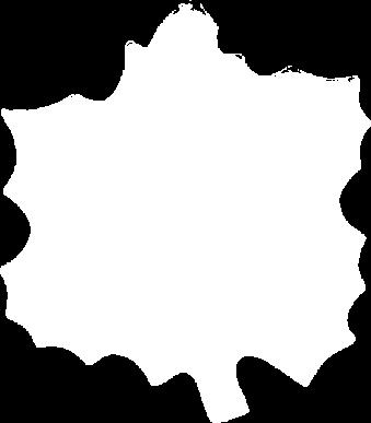 Turystyki
