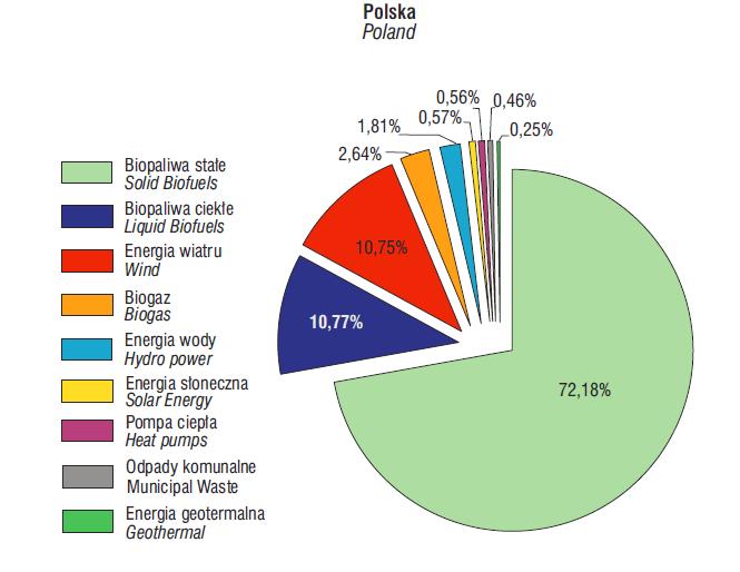 Struktura pozyskania energii pierwotnej ze źródeł