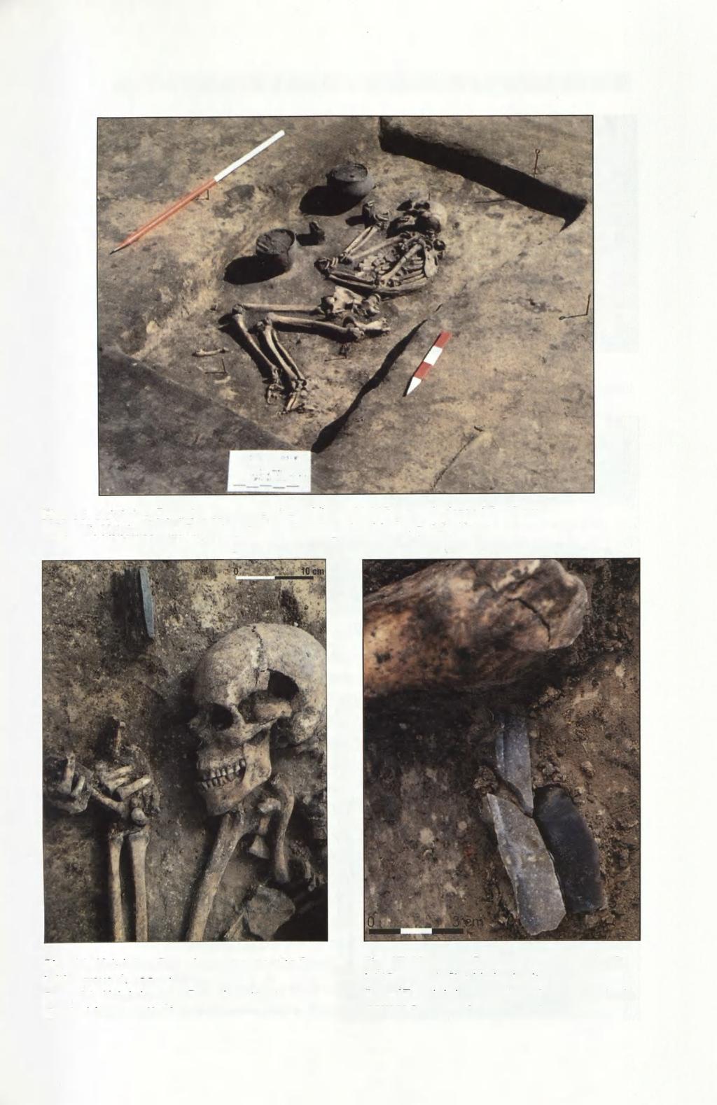 Fig. 15. Książnice, Pacanów commune, site 2. View of L-VC grave 4; depth 35-40 cm Ryc. 15. Książnice, gm. Pacanów, stan. 2. Widok grobu 4 KLW, gł. 35-40 cm Fig. 16. Książnice, Pacanów commune, site 2. L-VC grave 4; zoom in Ryc.
