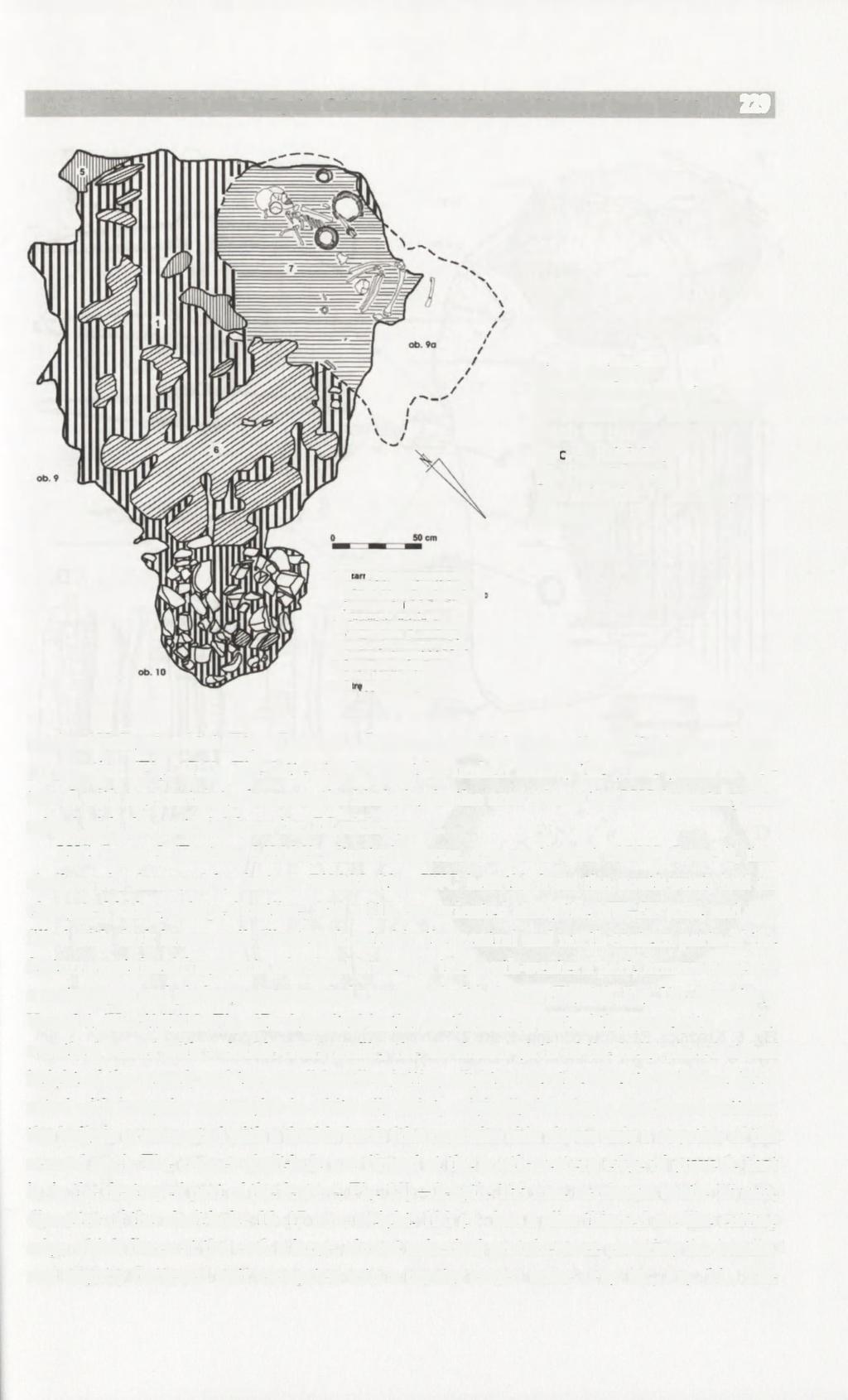 Graves of the Lublin-Volhynian Culture at Site 2 In Książnice, District of Busko Zdrój 229 Fig. 5. Książnice, Pacanów commune, site 2. Plan of features 9 and 9a/2002; depth 80 cm Ryc. 5. Książnice, gm.