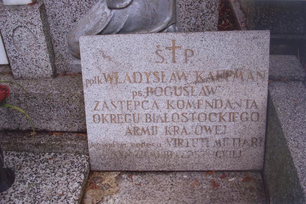 Białymstoku ppłk Władysława