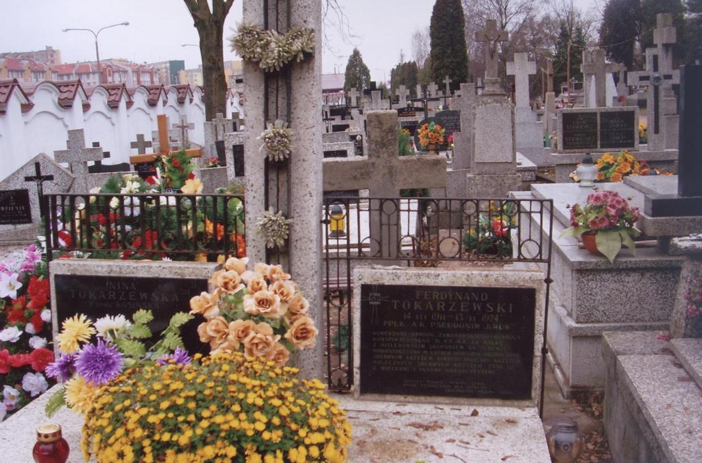 Fotografia 15.