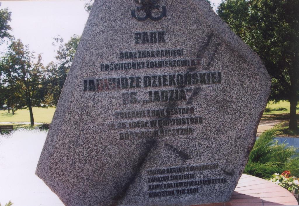 Białymstoku Fotografia 25.