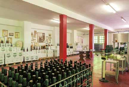 Warto docenić fakt, że wina z tej winiarni doceniło włoskie towarzystwo winiarskie Consorzio Volontariato Vini D.O.C. Lison-Pramaggiore.