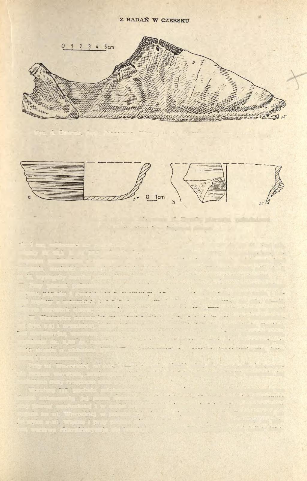 Z BADAŃ W CZERSKU 201 Ryc. 5. Czersk, pow. Piaseczno. Warstwa II, ul. Warecka. Fragment buta Ryc. 6. Czersk, pow. Piaseczno. Warstwa II, Rynek, pierzeja południowa a fragment misy; b fragment dzbana ok.