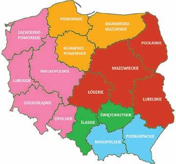 Produkty na zamówienie W serii Avicenum jest ponad 25 seryjnie produkowanych rozmiarów wyrobów kompresyjnych. Może się jednak zdarzyć, że niektórym pacjentom żaden z nich nie będzie pasować.