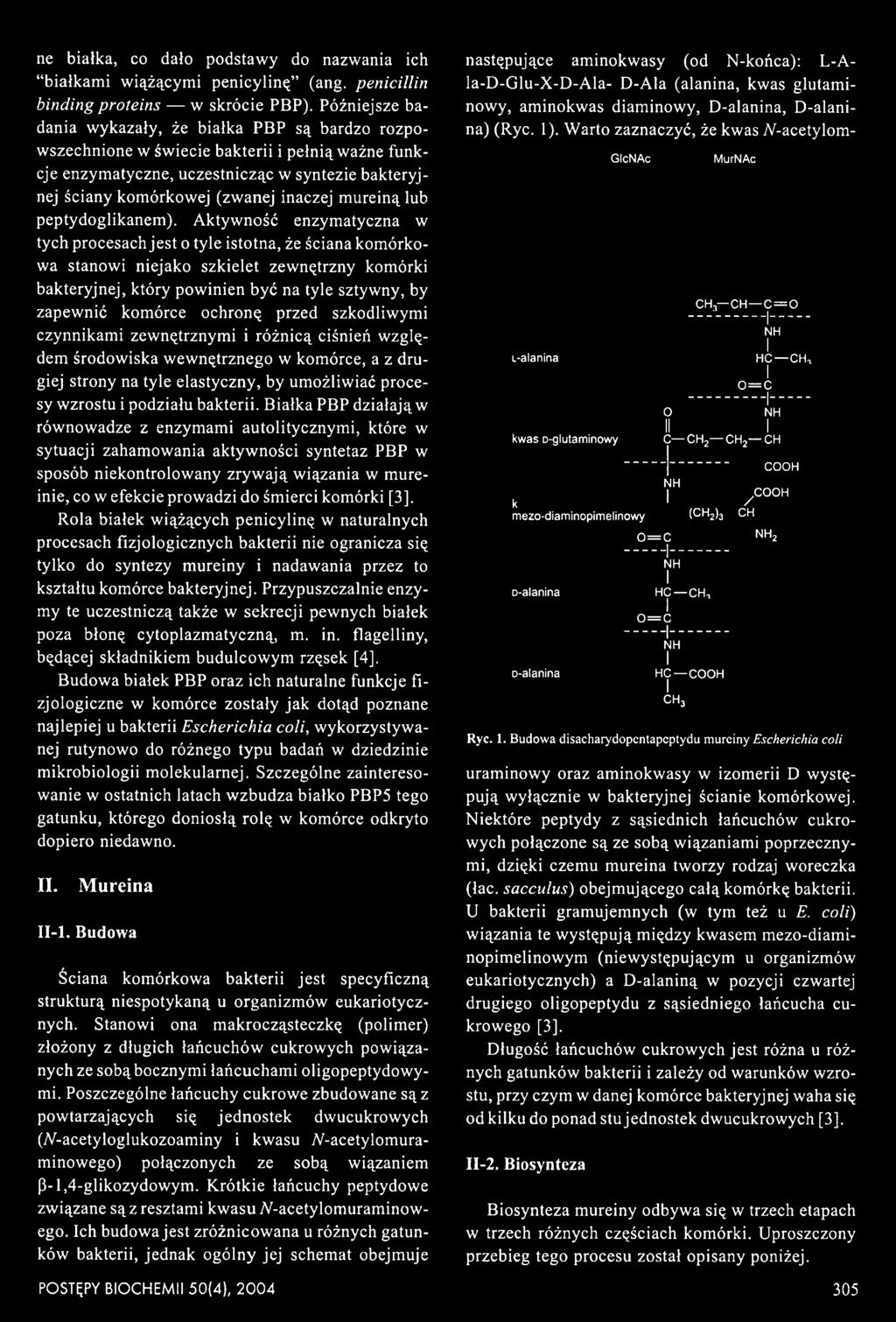 ochronę przed szkodliwymi czynnikami zewnętrznymi i różnicą ciśnień względem środowiska wewnętrznego w komórce, a z drugiej strony na tyle elastyczny, by umożliwiać procesy wzrostu i podziału