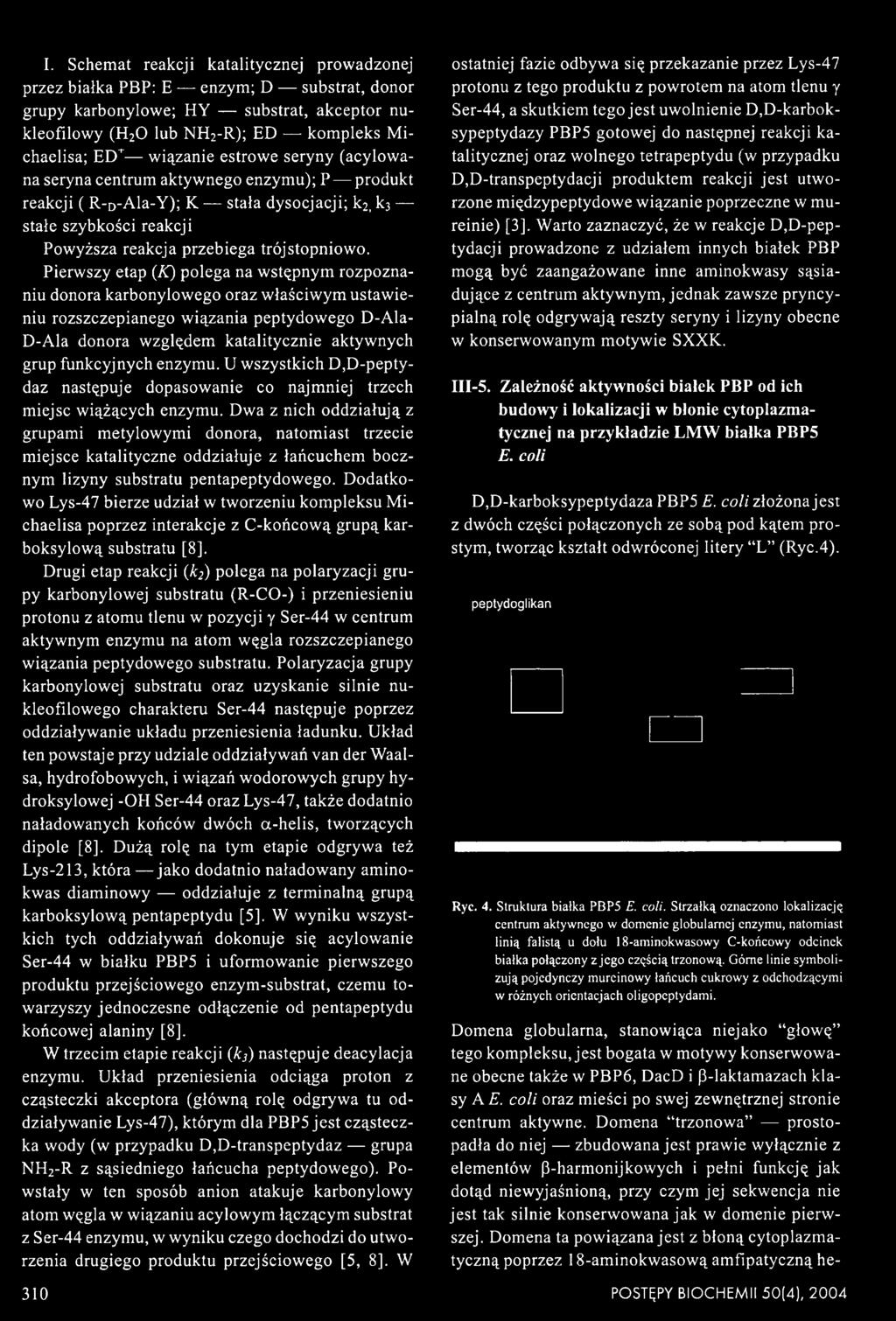 Dwa z nich oddziałują z grupami metylowymi donora, natomiast trzecie miejsce katalityczne oddziałuje z łańcuchem bocznym lizyny substratu pentapeptydowego.