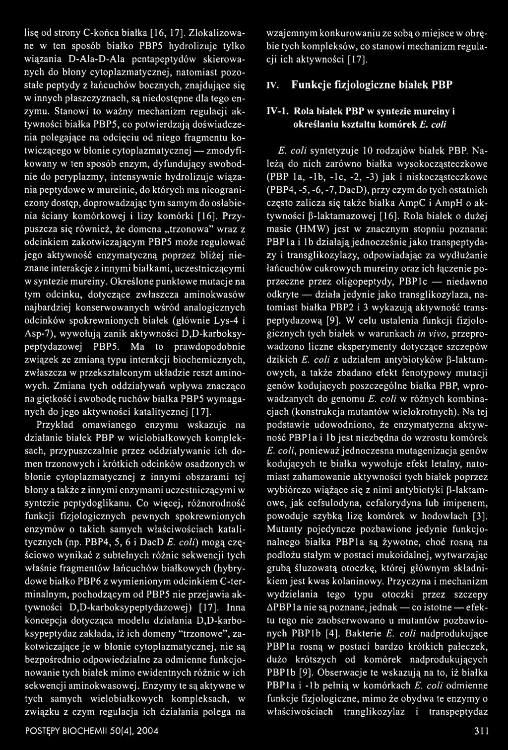 enzym, dyfundujący swobodnie do peryplazmy, intensywnie hydrolizuje wiązania peptydowe w mureinie, do których ma nieograniczony dostęp, doprowadzając tym samym do osłabienia ściany komórkowej i lizy