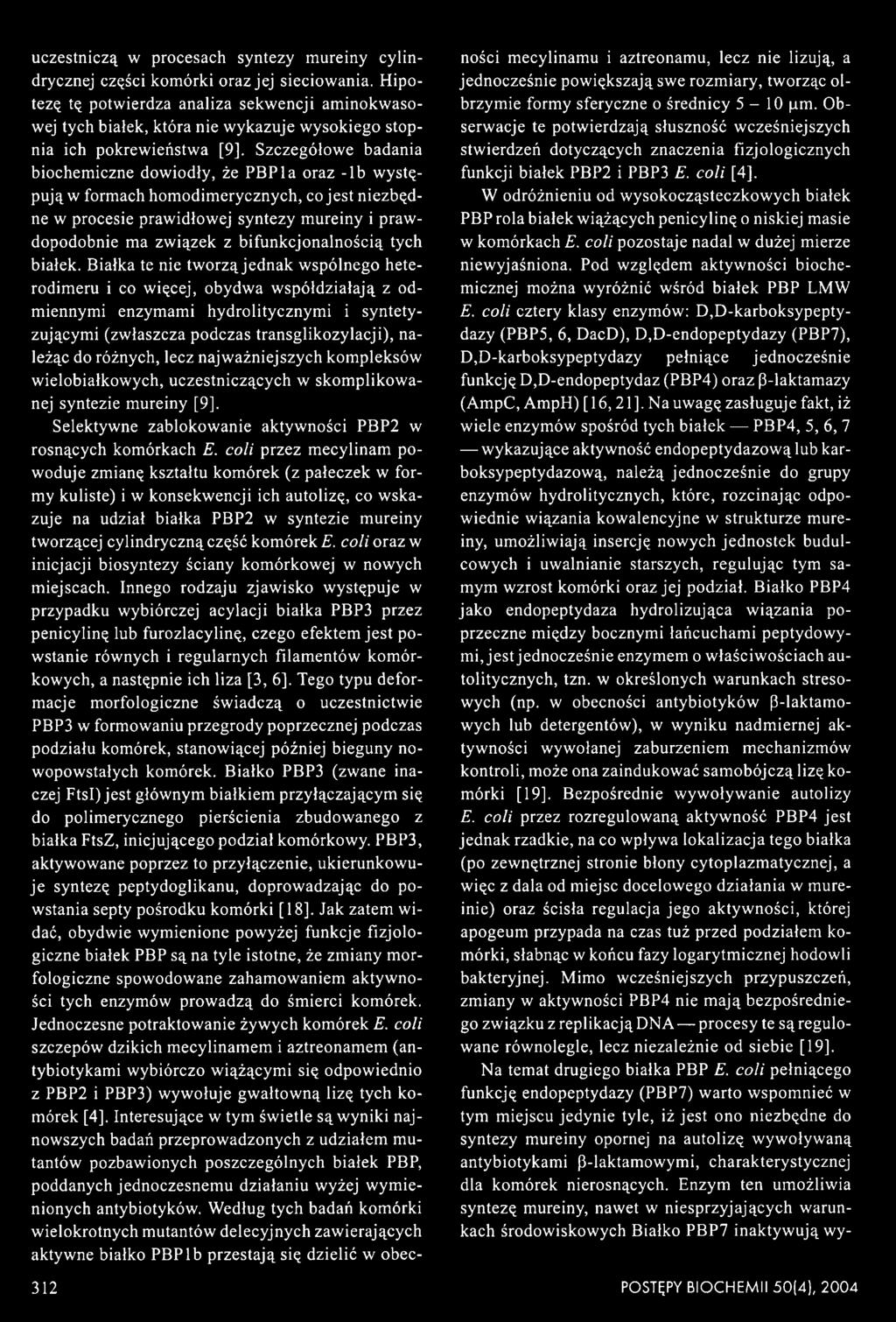 Szczegółowe badania biochemiczne dowiodły, że PBPla oraz -lb występują w formach homodimerycznych, co jest niezbędne w procesie prawidłowej syntezy mureiny i prawdopodobnie ma związek z