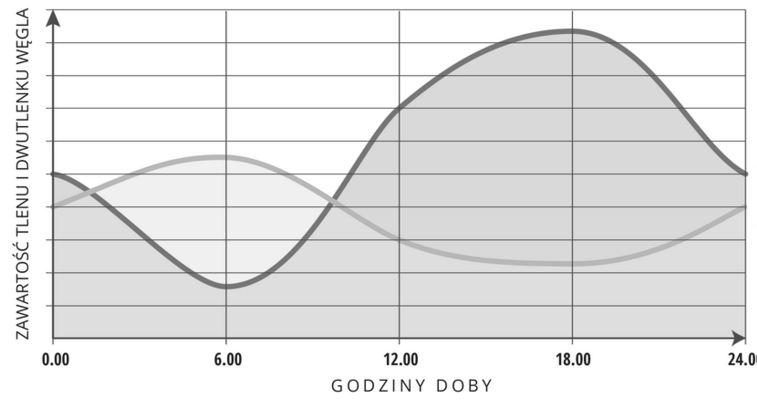 ) Na schemacie pokazano zawartość dwóch gazów tlenu i dwutlenku węgla, w wodzie stawu mierzoną co 6 godzin w ciągu doby (odpowiednio substratu i produktu procesów życiowych organizmów żyjących w tym