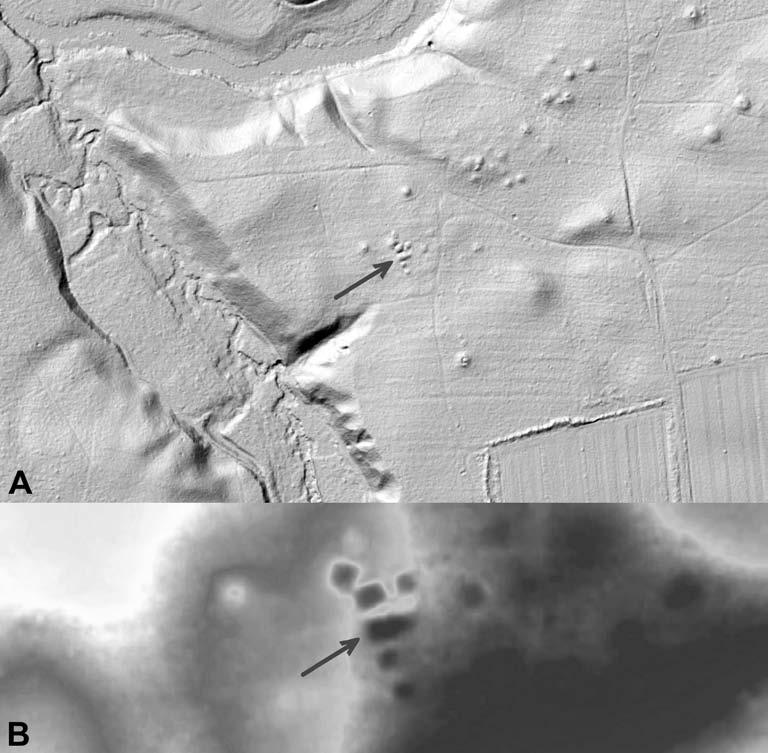 Jacek Wierzbicki Grobowce megalityczne w dorzeczu Łupawy Ryc. 8. Strzyżyno stan. 3. Grobowiec megalityczny odkryty zza biurka dzięki wykorzystaniu numerycznego modelu terenu isok (http://mapy.