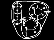Budowa kwasu nukleinowego DNA Struktura