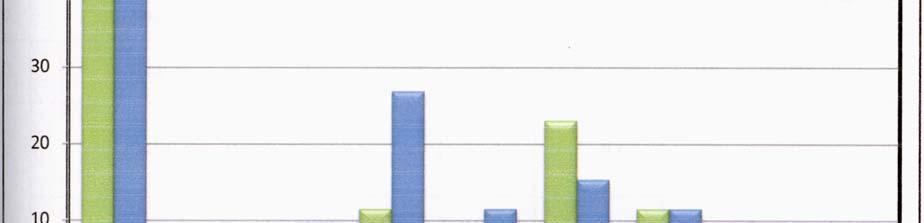 Graficzne zestawienie wskazanych przez respondentów możliwości naszego regionu przedstawia wykres nr 22.