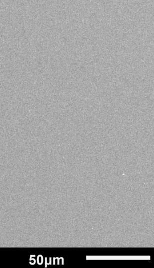 (a) (b) (c) (d) Rys. 33. Zdjęcia SEM powierzchni powłok PLD a) wolfram 355 nm, F = 5 J/cm 2, b) wolfram 1064 nm, F = 9,3 J/cm 2, c) bor 355 nm, F = 5 J/cm 2, d) bor 1064 nm, F = 9,3 J/cm 2.