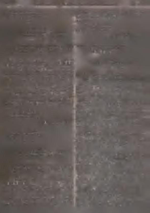 Odpisy w ydanych w tej spraw ie zarządzeń należy n a- desłać w term inie do dnia 30 czerwca 1951 r. do P aństw o w ej K om isji P lanow ania G ospodarczego (D epartam ent B u dow nictwa).
