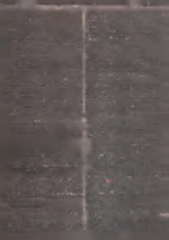 w ydaw anie decyzji w spraw ie zaw ieran ia przez podległe jednostki organizacyjne indyw idualnych umów ubezpieczeniow ych z Pow szechnym Z akładem U bezpieczeń W zajem nych w dziale ubezpieczeń