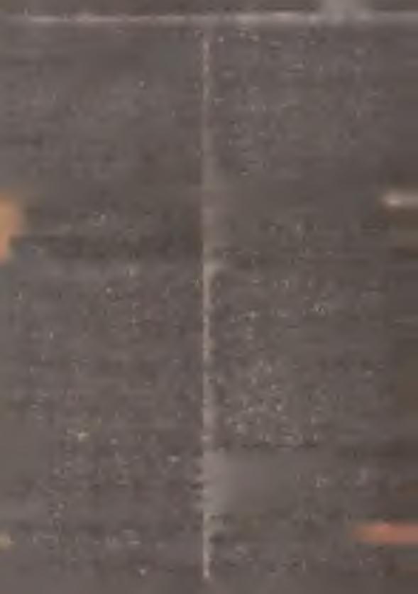 Jednostki działające na zasadzie pełnego lub w e w nętrznego pełnego rozrachunku gospodarczego w y stępu jące w ch arak terze generalnego w ykonaw cy lub podw ykonaw cy obow iązane są stosować się do