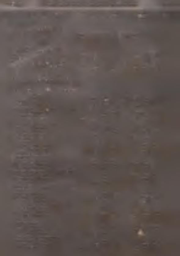 4,21 1,900 9,22 8,55 7,87 dodatek za każde następne 10,0 m ponad 30,0 m 1000 szt. 0,63 1,38 1,28 1,18 Z apraw a 4. D ostarczenie na odległość do 30,0 m zapraw y w apiennej lub w ap.