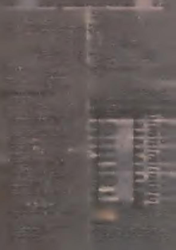 .. Załącznik N r 4 do zarządzenia M inistra Budow nictw a Przemysłowego N r 96 z dnia 30 czerw ca 1951 r.... dn... 1951 r. Przedsiębiorstw o... Budowa N r (Zlec...) K redyt PI/1951 r. A dres... zł.