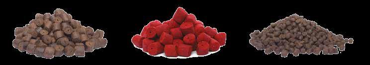 C-715 WANILLA (WANILIA) 50g C-716 MULBERRY (MORWA) 50g C-717 STRAWBERRY (TRUSKAWKA) 50g C-718 RED HALIBUT 50g C-719 GARLIC