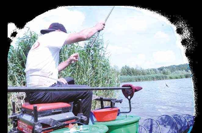 SERIA SPECJAL KOLOR 1kg Zanęty M-045 PŁOĆ CZERWONA 1000g M-046 PŁOĆ CZARNA 1000g M-047 LESZCZ 1000g CZERWONY M-048 LESZCZ CZARNY 1000g M-049 LESZCZ ŻÓŁTY 1000g M-095 LIN-KARAŚ ZIELONY