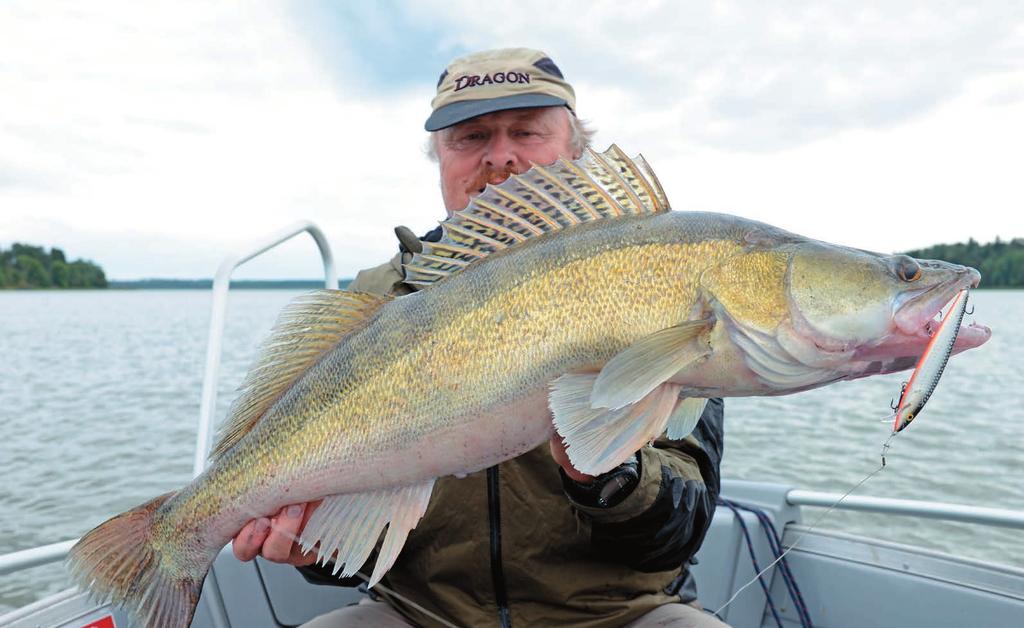 Wędki WĘDZISKA Nr 1 na polskim rynku * Dragon Wędki dwuczęściowe o akcji średniej Trout, Demon dwa wędziska pstrągowo-kleniowe o umiarkowanie szybkich ch.