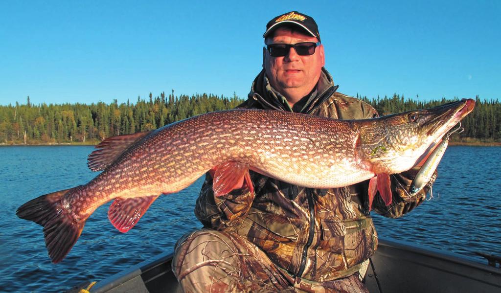 .. 4 1 1 1 X- X- X- Team Dragon Brown Trout (--) Długie i mocne, a przy tym świetnie zbalansowane kije rzeczne, na bolenie, sandacze i szczupaki. -- --0 --0 Long Range Long Range Big River..0.0 14 X- X- X- 1.