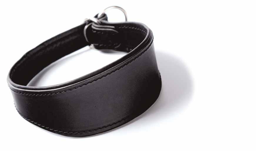 x2 x2 OROŻA ZACIĄGANA CHART Greyhound tightened collar Halsband
