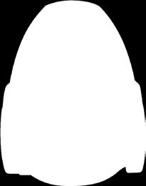 ZBEZPIECZENIE PRZED