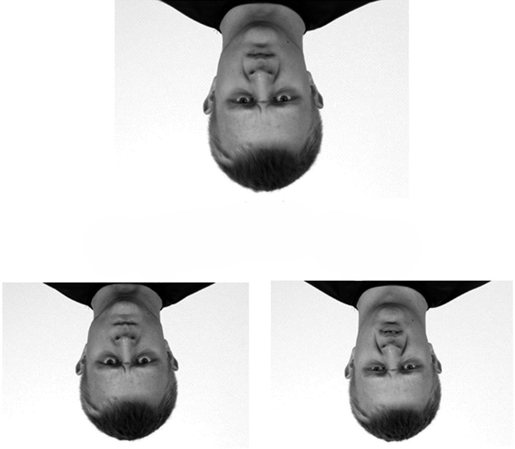 WPŁYW KONTEKSTU NA ROZPOZNAWANIE MIMICZNYCH EKSPRESJI Russell, J. A., Fehr, B. (1987). Relativity in the perception of emotion in facial expressions.