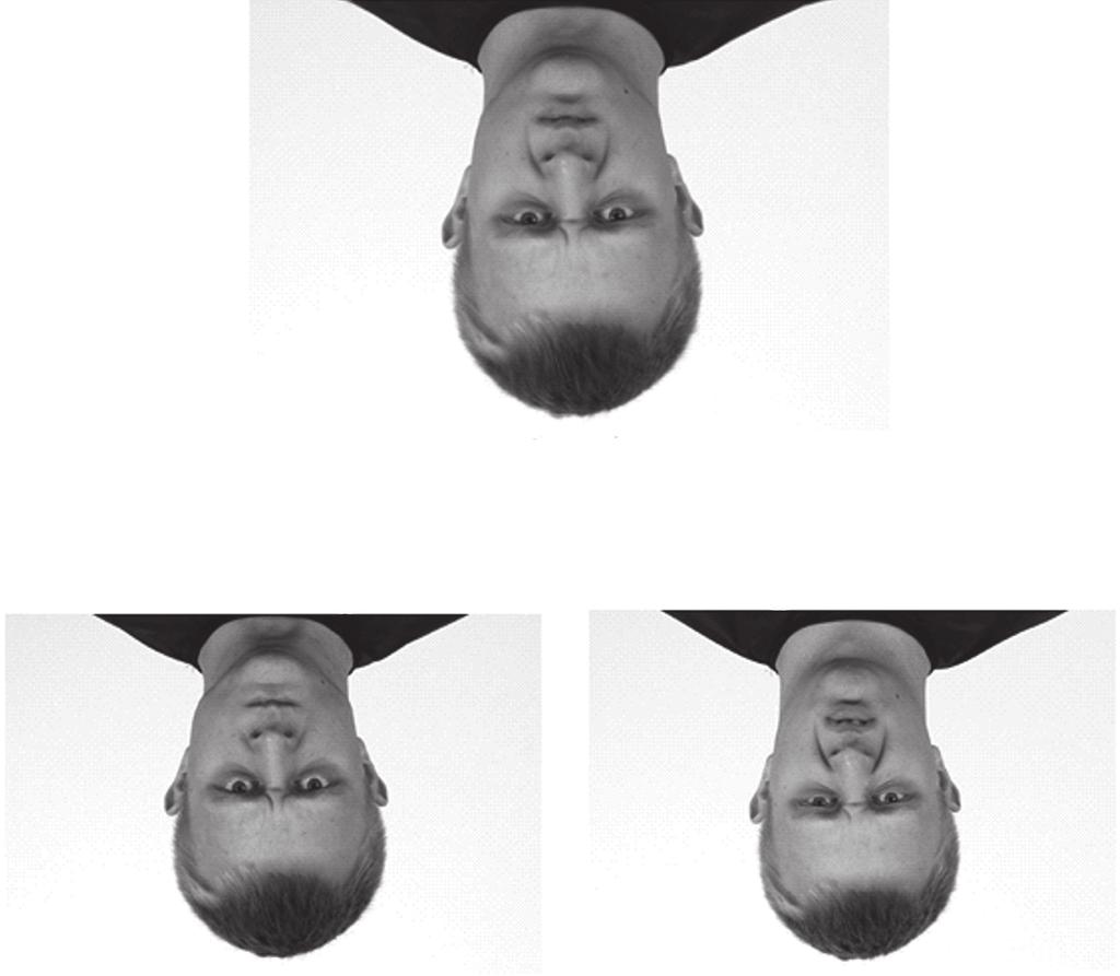 WP YW KONTEKSTU NA ROZPOZNAWANIE MIMICZNYCH EKSPRESJI 167 Russell, J. A., Fehr, B. (1987). Relativity in the perception of emotion in facial expressions.