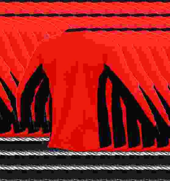 K O S Z U L K A Z D Ł U G I M R Ę K