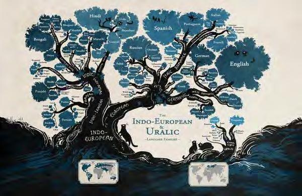 Zalicza się do niej kilkaset spokrewnionych ze sobą języków współczesnych, używanych od kilku tysięcy lat w Europie, Indiach (stąd przymiotnik indoeuropejski) i południowo-zachodniej Azji.