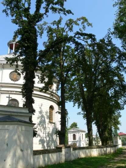 A-1c OGRODZENIE Z CZTEREMA KAPLICZKAMI wraz z DRZEWOSTANEM w obrębie cmentarza kościelnego w zespole kościoła parafialnego p.w. św. Ap. Piotra i Pawła w Żyrzynie ok. 1850 r.