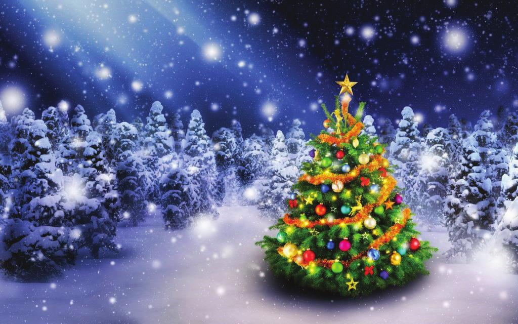 DECEMBER/GRUDZIEŃ 17, 2017 Wednesday, Dec. 20 at 6:00 p.m. Thursday & Friday- Dec. 21-22: 4-5 p.m. and 6:00 p.m. Saturday, Dec. 23-7-8 a.m.(lower church) and 6:30 p.m. Środa, 20 grudnia o godz.