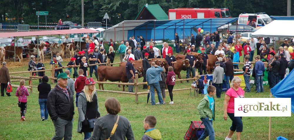 .pl https://www..pl AgroPromocja 2016: wszystko dla rolników w Nawojowej Autor: Beata Kozłowska Data: 31 sierpnia 2016 W najbliższy weekend w Nawojowej k.