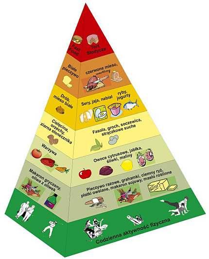 Piramida zdrowego Ŝywienia. 1. Największą ilość poŝywienia powinny stanowić pełnoziarniste produkty zboŝowe. Stosunkowo często trzeba spoŝywać teŝ oliwy i oleje. 2.