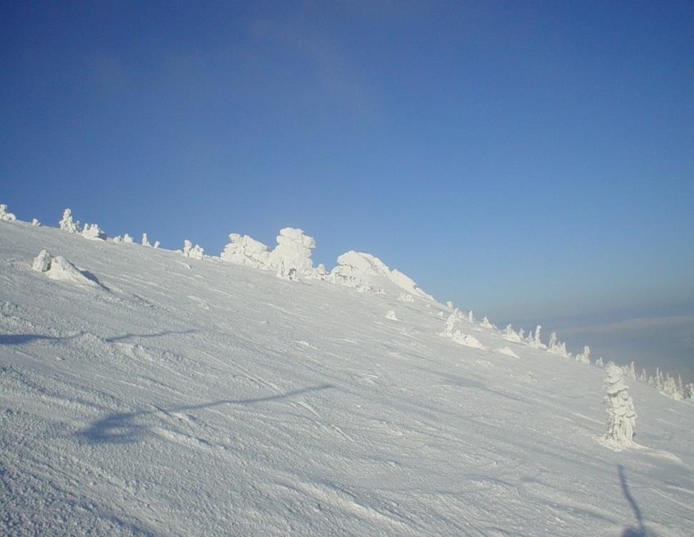 Przewoźnik RAFTRANS