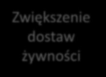 Złoty trójkąt wzrostu produktywności