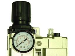 - 700 l/min 10 bar 5-60 ºC - AR3000-1/4 1/4 wewn.